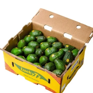 Avocado-box