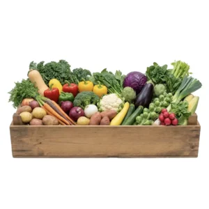 markatoo regular box