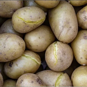 yellow potatoes 10 lbs