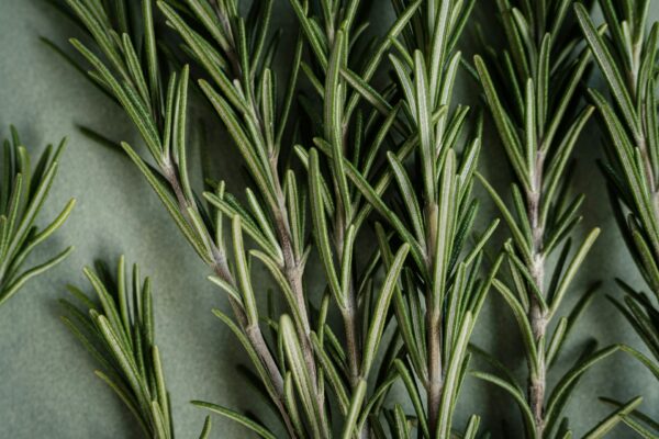 herbs